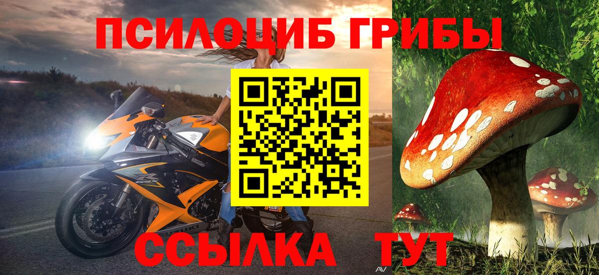 Псилоцибиновые грибы Psilocybine cubensis  Вход с VPN  Галлюциногенные грибы GOLDEN TEACHER  Курск 